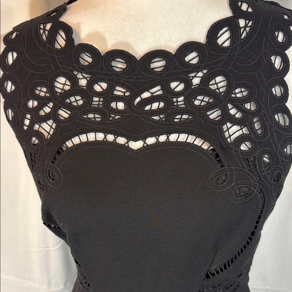 Ted Baker Black Eyelet Lace Halter A-Line Dress Exposed Zip NWOT Sz US 6 (Ted 2) - Picture 4 of 12